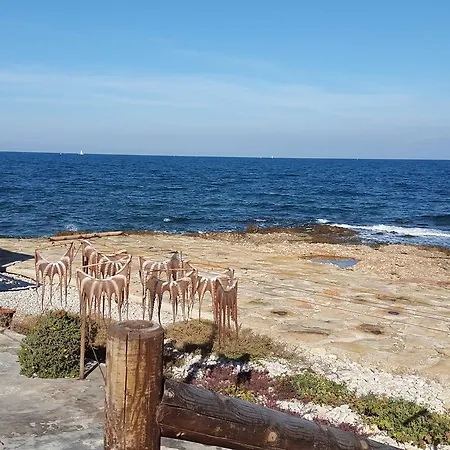Jazmines 4 Dénia
